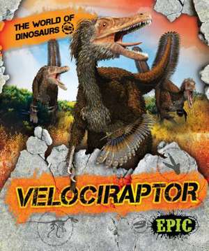 Velociraptor de Rebecca Sabelko