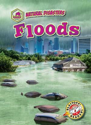 Floods de Rebecca Pettiford