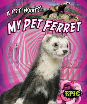 My Pet Ferret de Paige V Polinsky