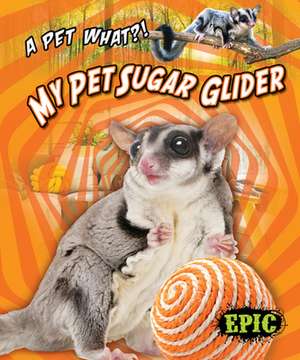 My Pet Sugar Glider de Paige V Polinsky