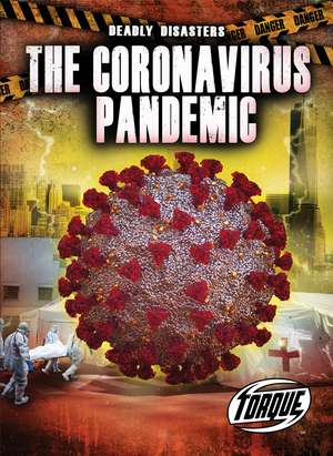 Coronavirus Pandemic de Nathan Sommer