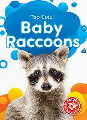 Baby Raccoons de Elizabeth Neuenfeldt