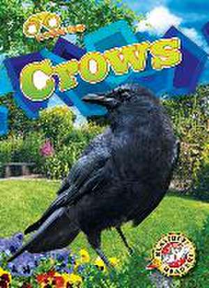 Crows de Rachael Barnes