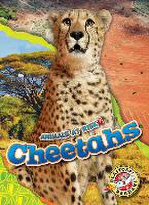 Cheetahs de Rachel Grack