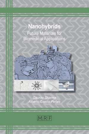 Nanohybrids de Alberto García-Peñas