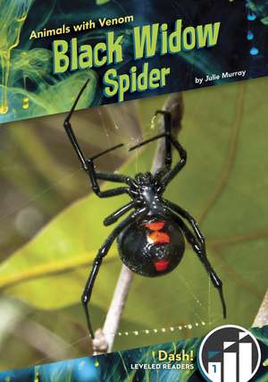 Black Widow Spider de Julie Murray