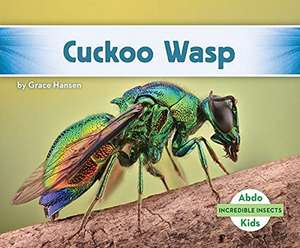 Cuckoo Wasp de Grace Hansen