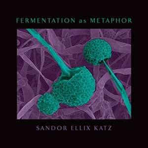 Fermentation as Metaphor de Sandor Ellix Katz