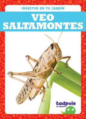 Veo Saltamontes (I See Grasshoppers) de Genevieve Nilsen