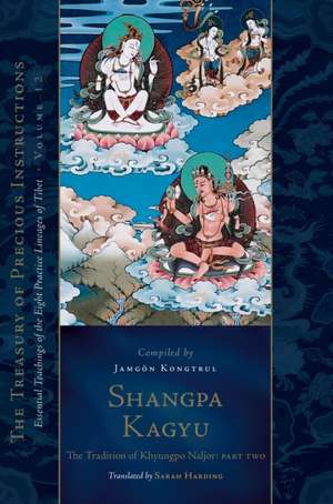 Shangpa Kagyu: The Tradition of Khyungpo Naljor, Part Two de Jamgon Kongtrul Lodro Taye