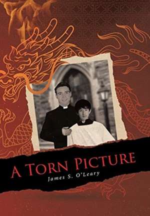 A Torn Picture de James S. O'Leary