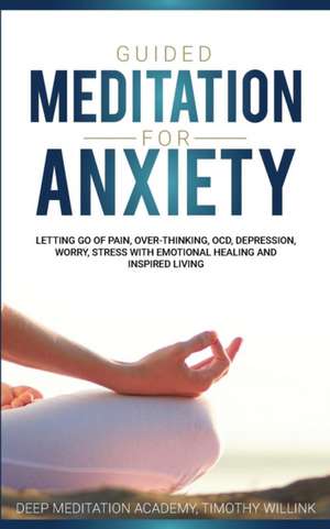 Guided Meditation for Anxiety de Timothy Willink