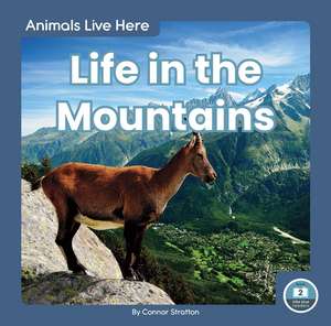 Life in the Mountains de Connor Stratton