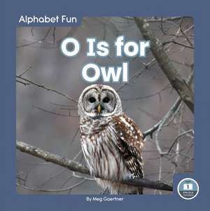 O Is for Owl de Meg Gaertner