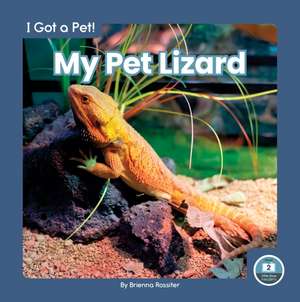 My Pet Lizard de Brienna Rossiter