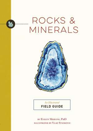 Rocks and Minerals: An Illustrated Field Guide de Evelyn Mervine