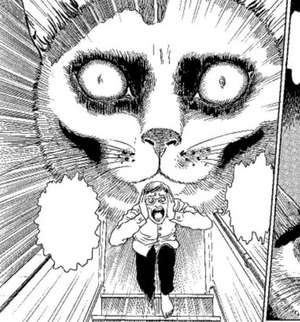 Junji Ito's Cat Diary: Yon & Mu Collector's Edition de Junji Ito