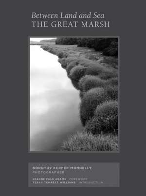 Between Land and Sea: The Great Marsh de Dorothy Kerper Monnelly