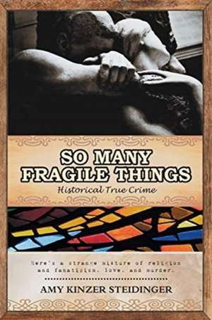 So Many Fragile Things de Amy Kinzer Steidinger