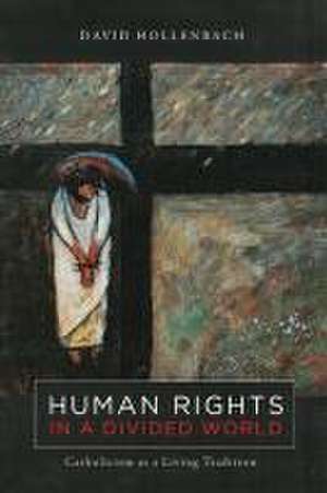 Hollenbach, D: Human Rights in a Divided World de David Hollenbach