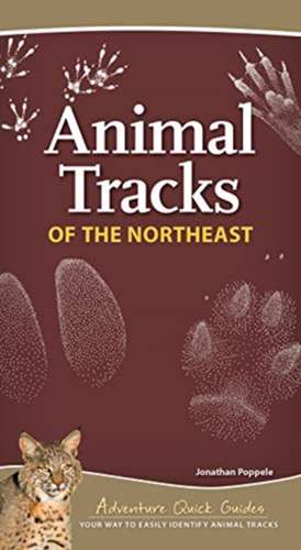 Animal Tracks of the Northeast de Jonathan Poppele