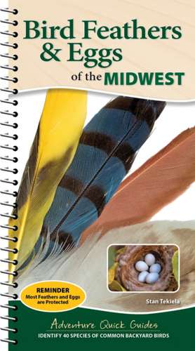 Bird Feathers & Eggs of the Midwest de Stan Tekiela