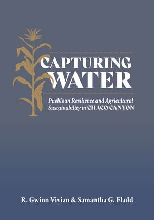 Capturing Water: Puebloan Resilience and Agricultural Sustainability in Chaco Canyon de R Gwinn Vivian