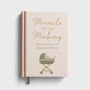 Miracle in the Making de Dayspring