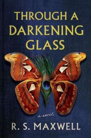 Through a Darkening Glass de R. S. Maxwell