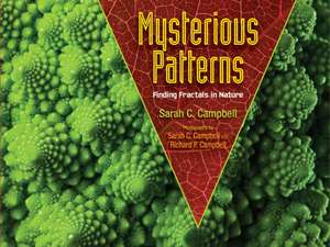 Mysterious Patterns de Sarah Campbell