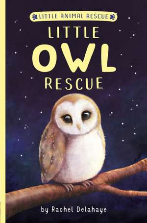 Little Owl Rescue de Rachel Delahaye