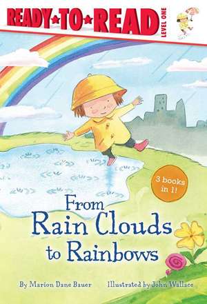 From Rain Clouds to Rainbows de Marion Dane Bauer