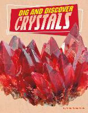 Dig and Discover Crystals de Anita Nahta Amin