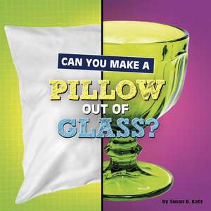 Can You Make a Pillow Out of Glass? de Susan B Katz