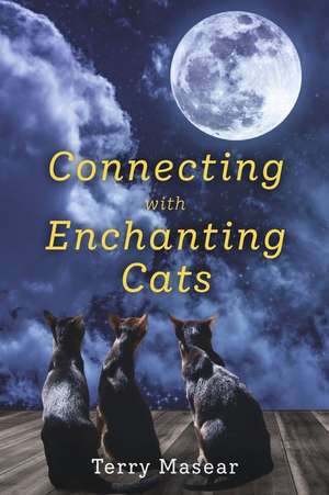 Connecting with Enchanting Cats de Terry Masear