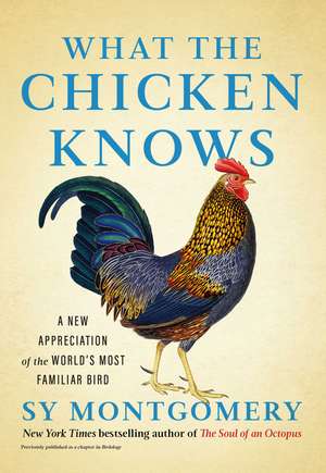 What the Chicken Knows: A New Appreciation of the World's Most Familiar Bird de Sy Montgomery