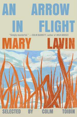 An Arrow in Flight de Mary Lavin