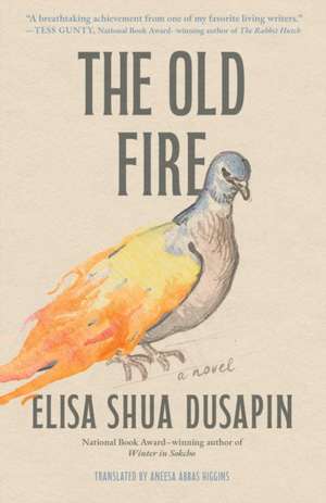 The Old Fire de Elisa Shua Dusapin