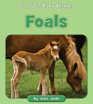 Foals de Julia Jaske