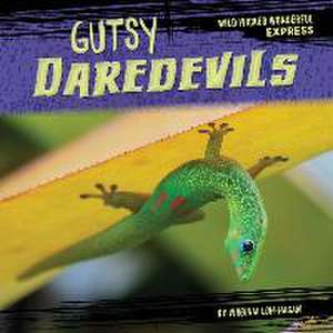 Gutsy Daredevils de Virginia Loh-Hagan