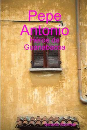 Pepe Antonio de Gerardo Sanchez