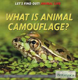 What Is Animal Camouflage? de Erin Staley