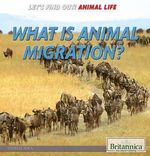 What Is Animal Migration? de Therese Shea