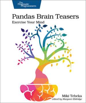 Pandas Brain Teasers de Miki Tebeka