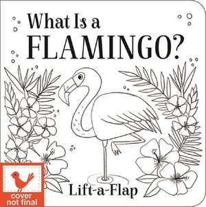 What Is a Flamingo? de Ginger Swift