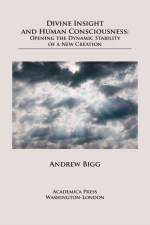 Divine Insight and Human Consciousness: Opening the Dynamic Stability of a New Creation de Andrew Bigg