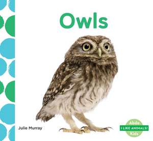 Owls de Julie Murray