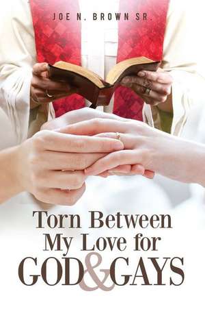 Torn Between My Love for God and Gays de Joe N. Brown Sr