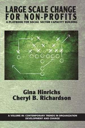 Large Scale Change for Non-Profits: A Playbook for Social Sector Capacity Building de Gina Hinrichs