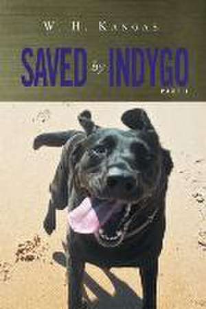 Saved by Indygo Part 1 de Wayne Kangas